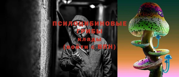 дурь Алзамай