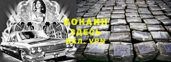 дурь Алзамай